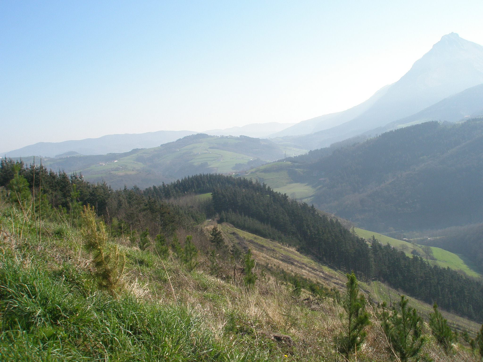 Baso formakuntza zabala prestatu du Murgiako Institutuak ikasturte berrirako