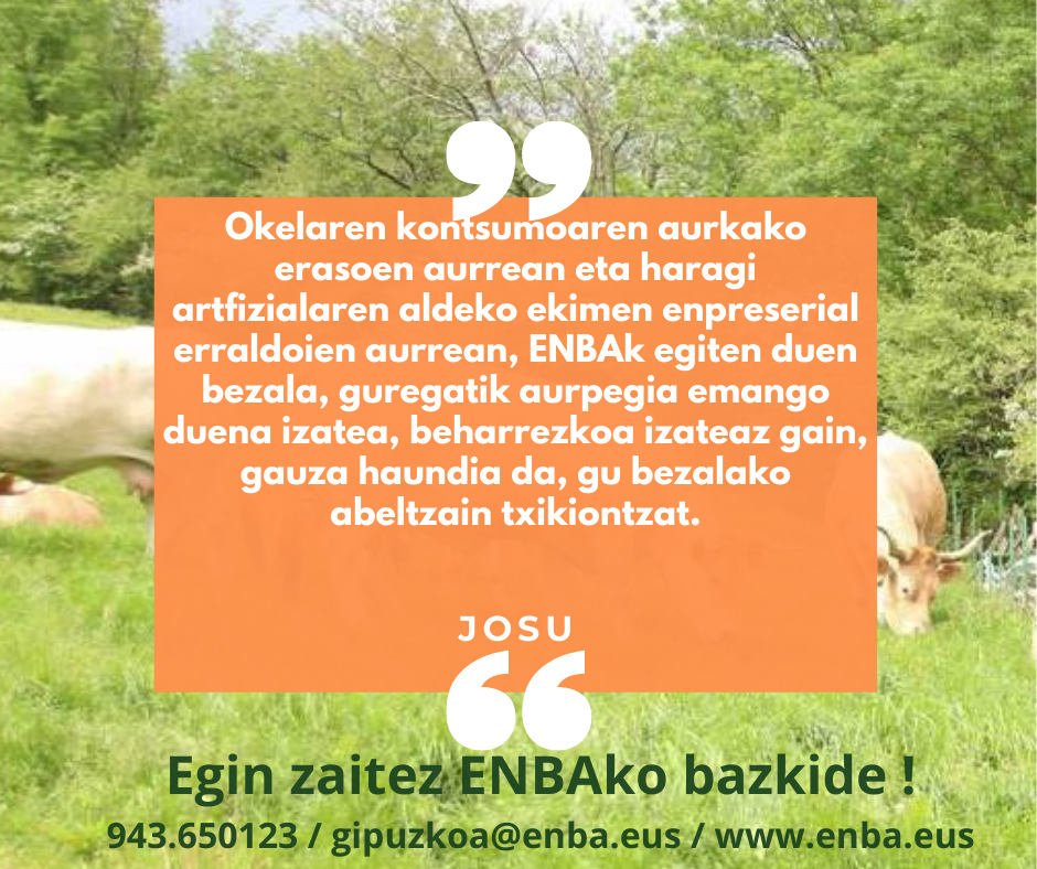 175863707 1559973924191332 3150673054213840532 n