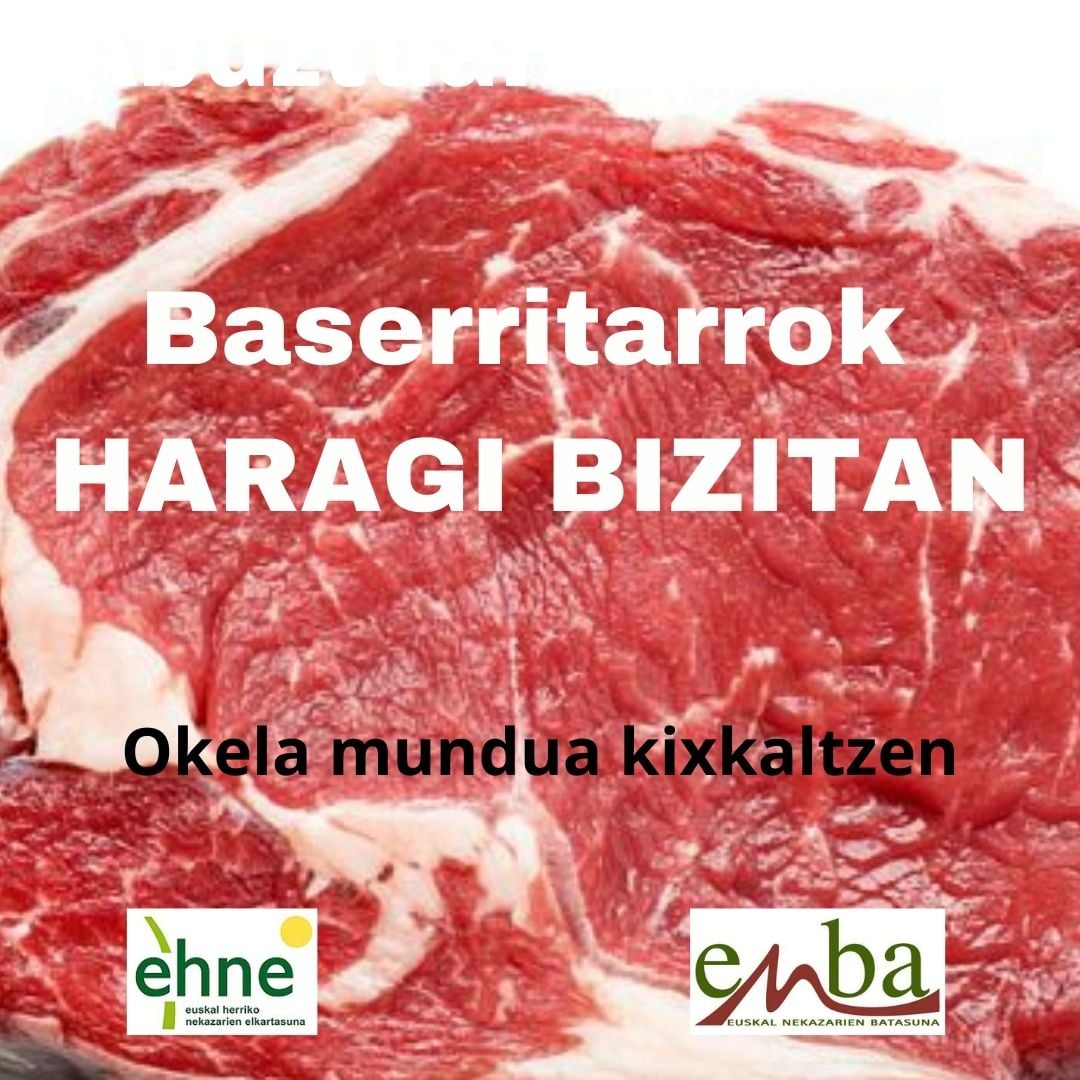 244399285 1677608339094556 1175517186534624540 n