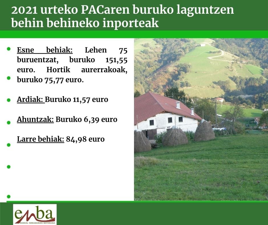 244642357 1676169915905065 8378645582749311148 n