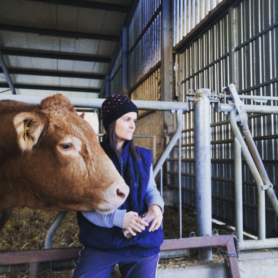 259560836 2016726035167520 7079435321721083910 n