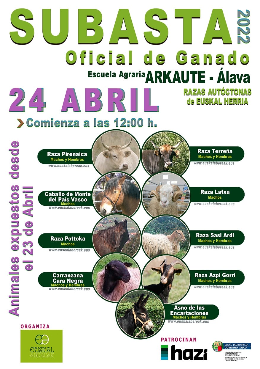 278143547 533063191501576 2377256685499060413 n