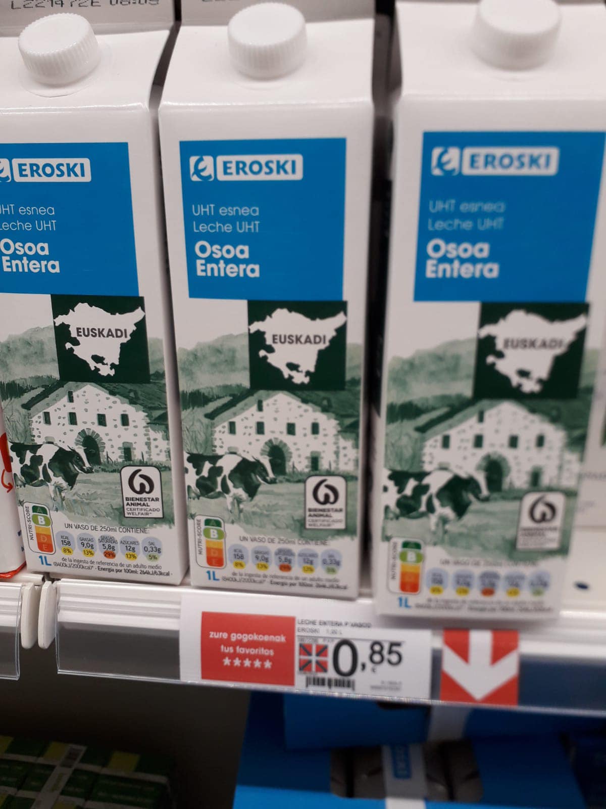 288519240 1853564198165635 9208728063389992580 n