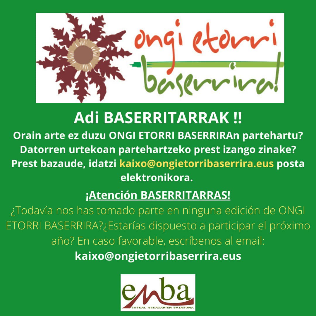 293796602 1874554062733315 3454483565831481107 n