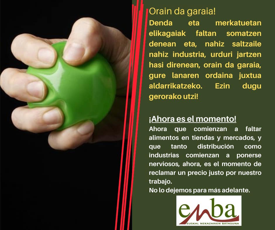 313080743 603310728257605 8676390300115162925 n