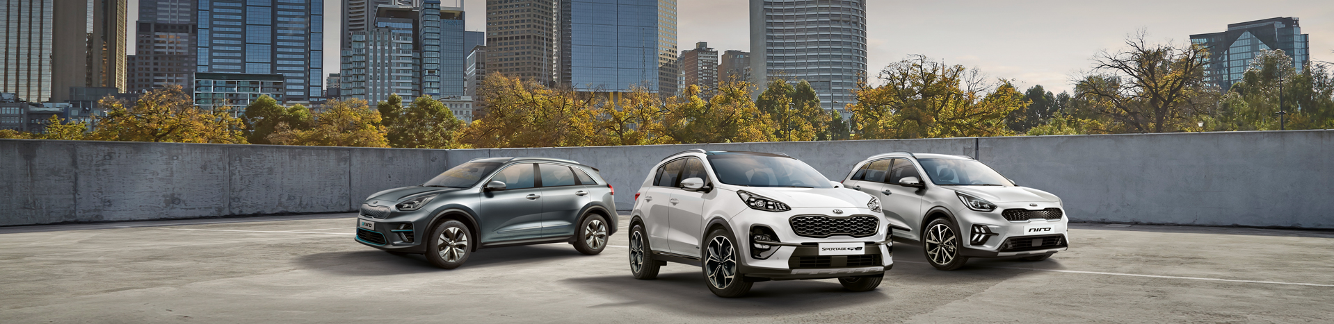 31fc3beb 21ef 4ada 9dbb 7257d065b9f2