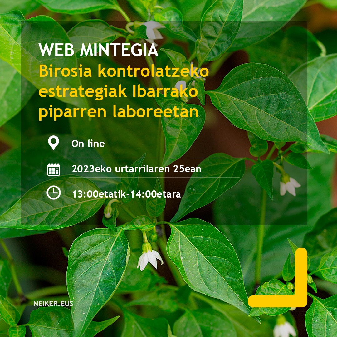 324433314 713958366748448 9175485731750679279 n