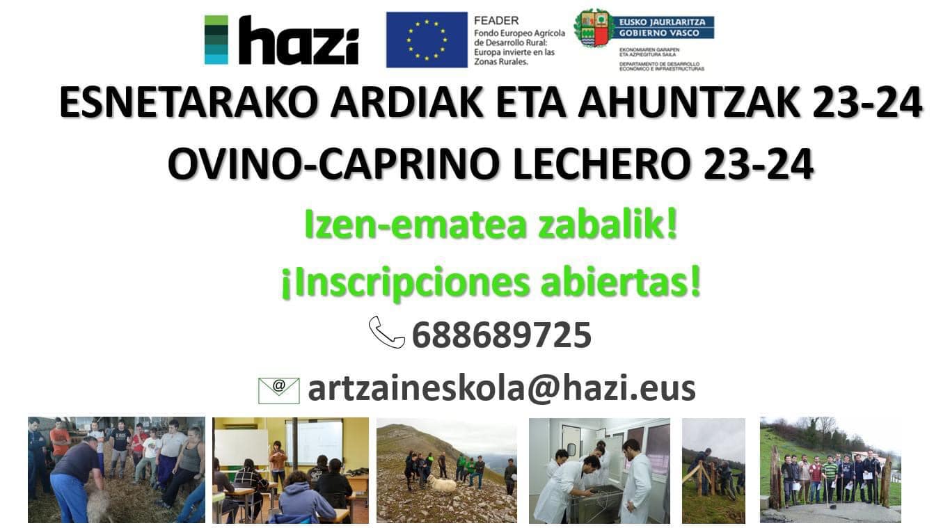 350643689 710794497719497 1197767699691633455 n