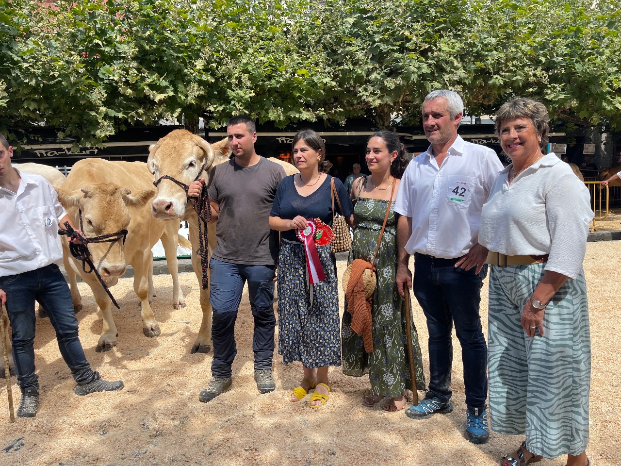 367065549 610827611234502 4346853151846267542 n