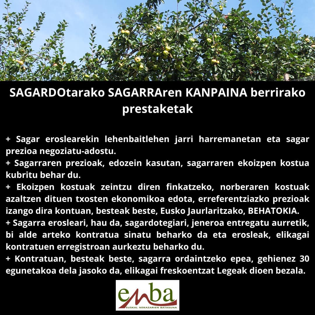 367494601 786663559922320 2612021740555600906 n