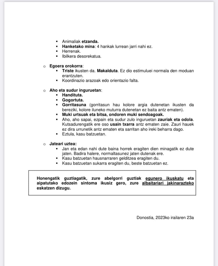 382844927 804190264836316 2288525712633420111 n