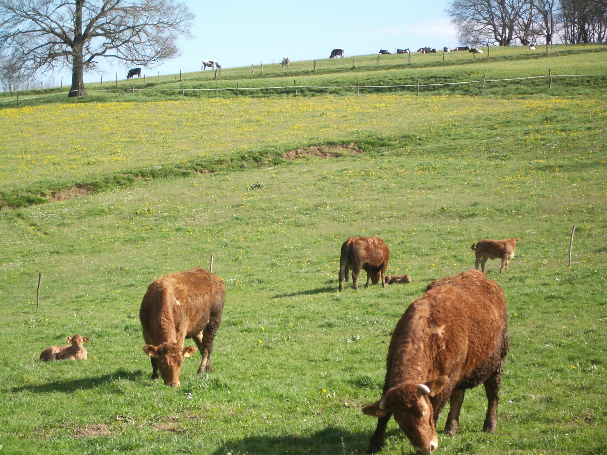 391619972 814067700515239 3679377849561259877 n