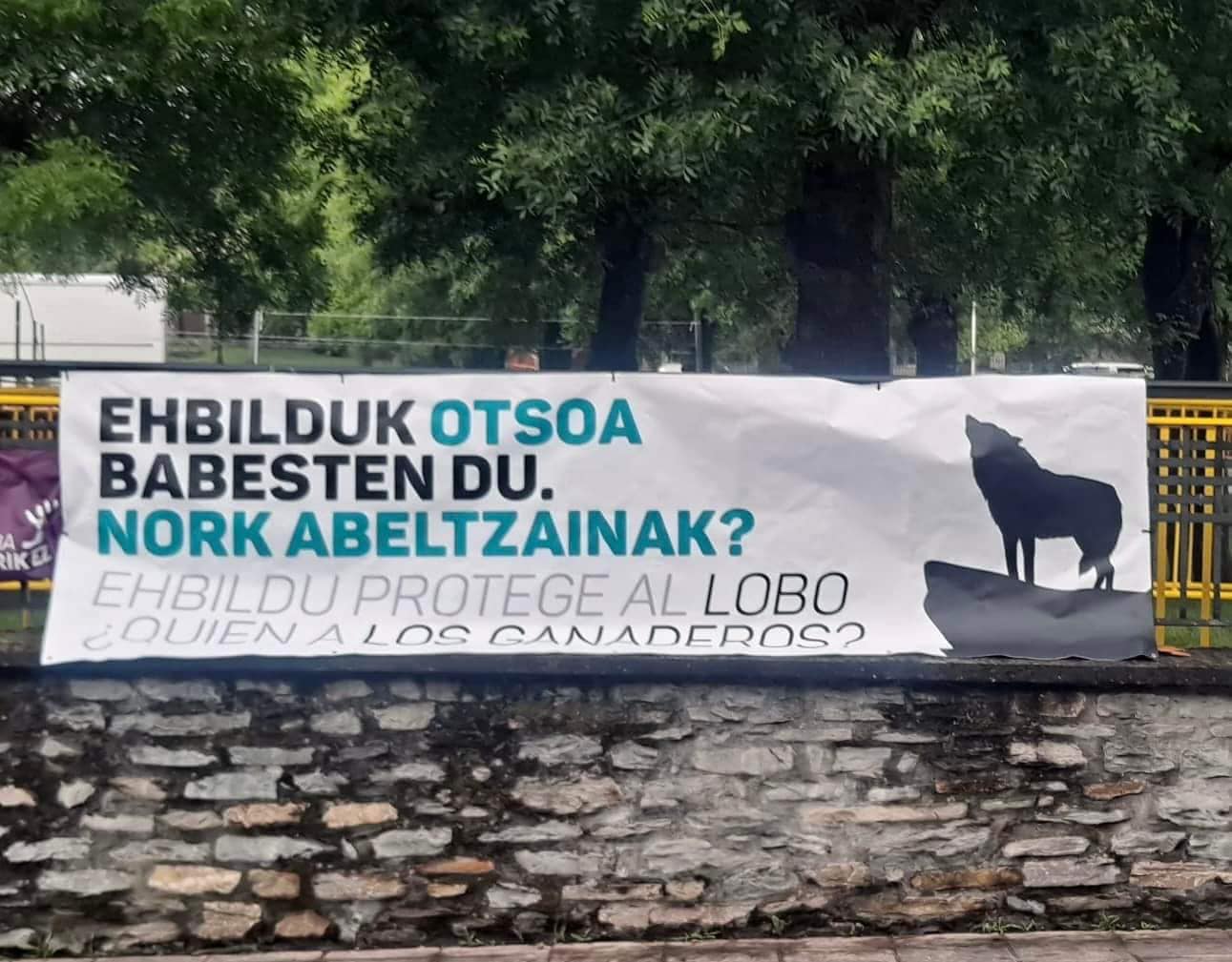 442439254 938700738051934 8831178837526632785 n