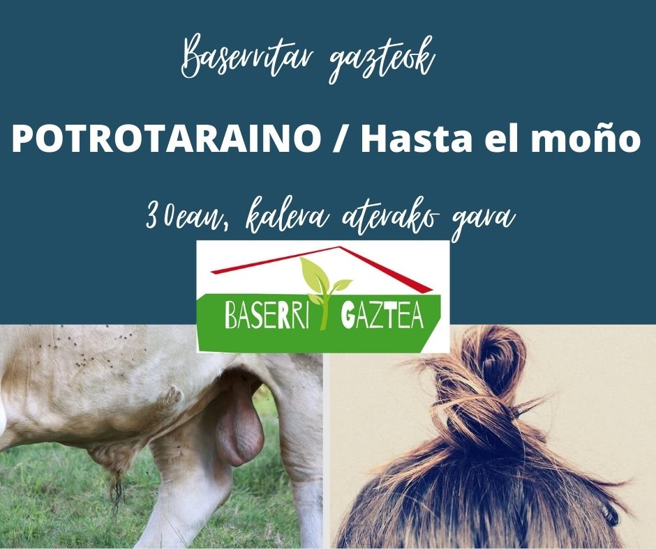 44ba54cb e081 4e82 a4da 283ec7c8bcb3