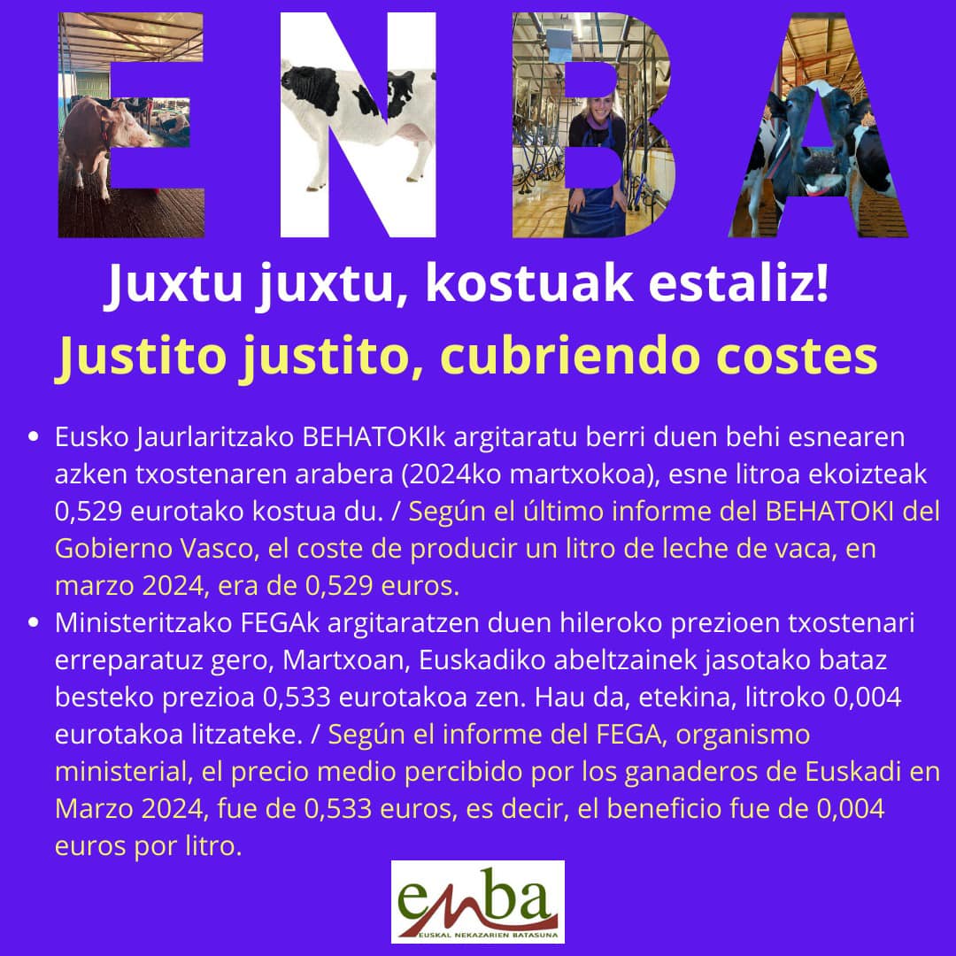 452926406 981270607128280 1160241028496961768 n