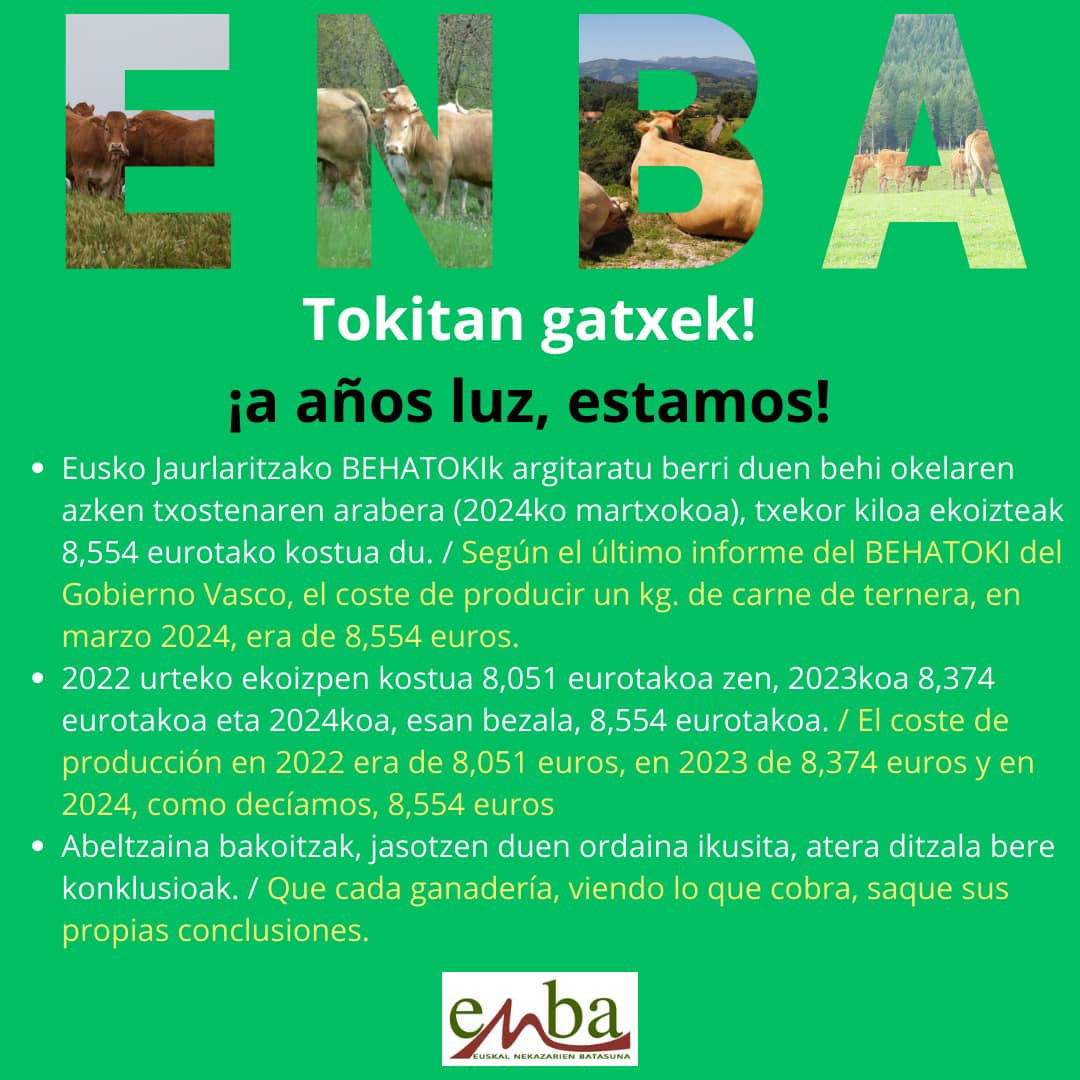 453432323 984397540148920 1722531724835629480 n