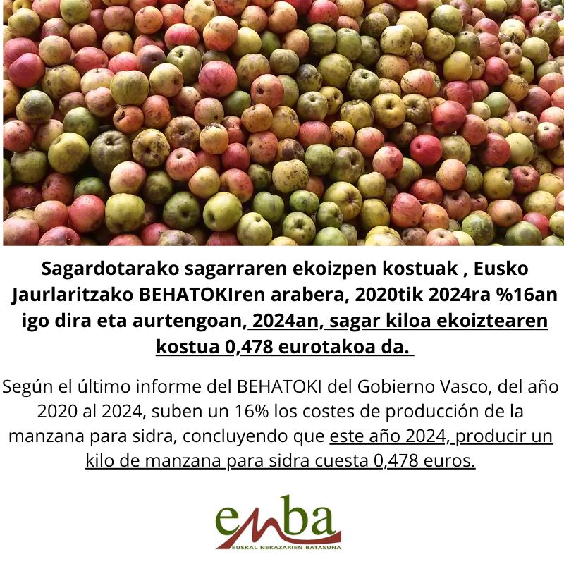 461924861 1028485029073504 148295316004875038 n