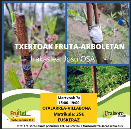 480987227 1133096261945713 5717444659461419009 n