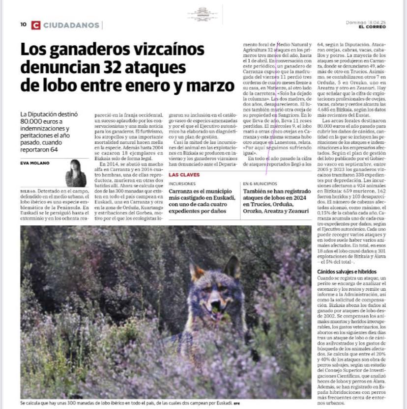 491328316 1167321048523234 6491860134750580049 n