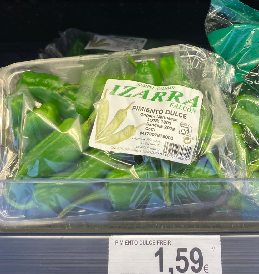 495179223 1183702373551768 8368998796769355305 n