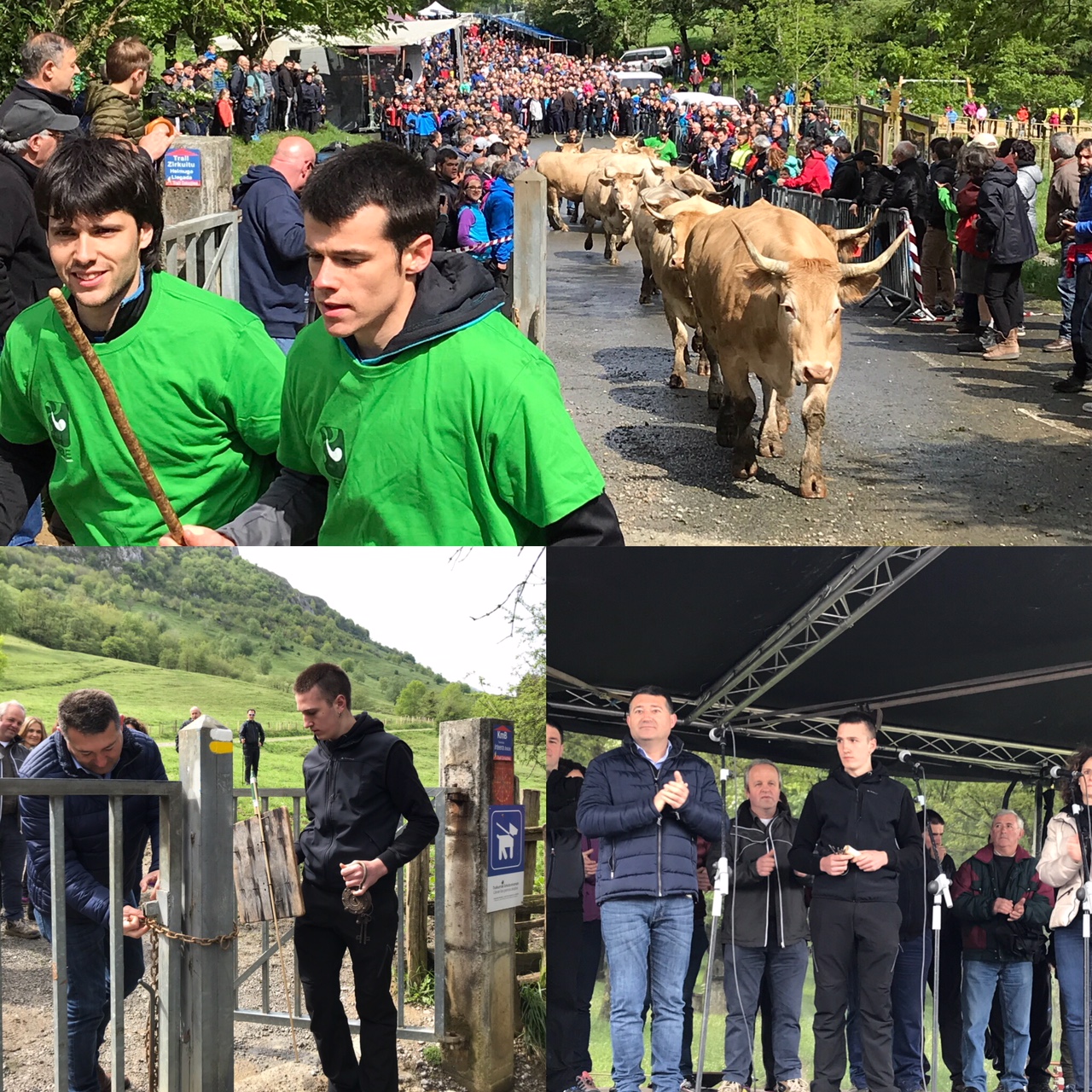 F260D298 BA4A 4C65 807E A23CFF434AA7