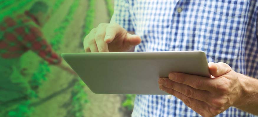 GURE LURRA sembrando futuro, encuentro el mundo rural y urbano