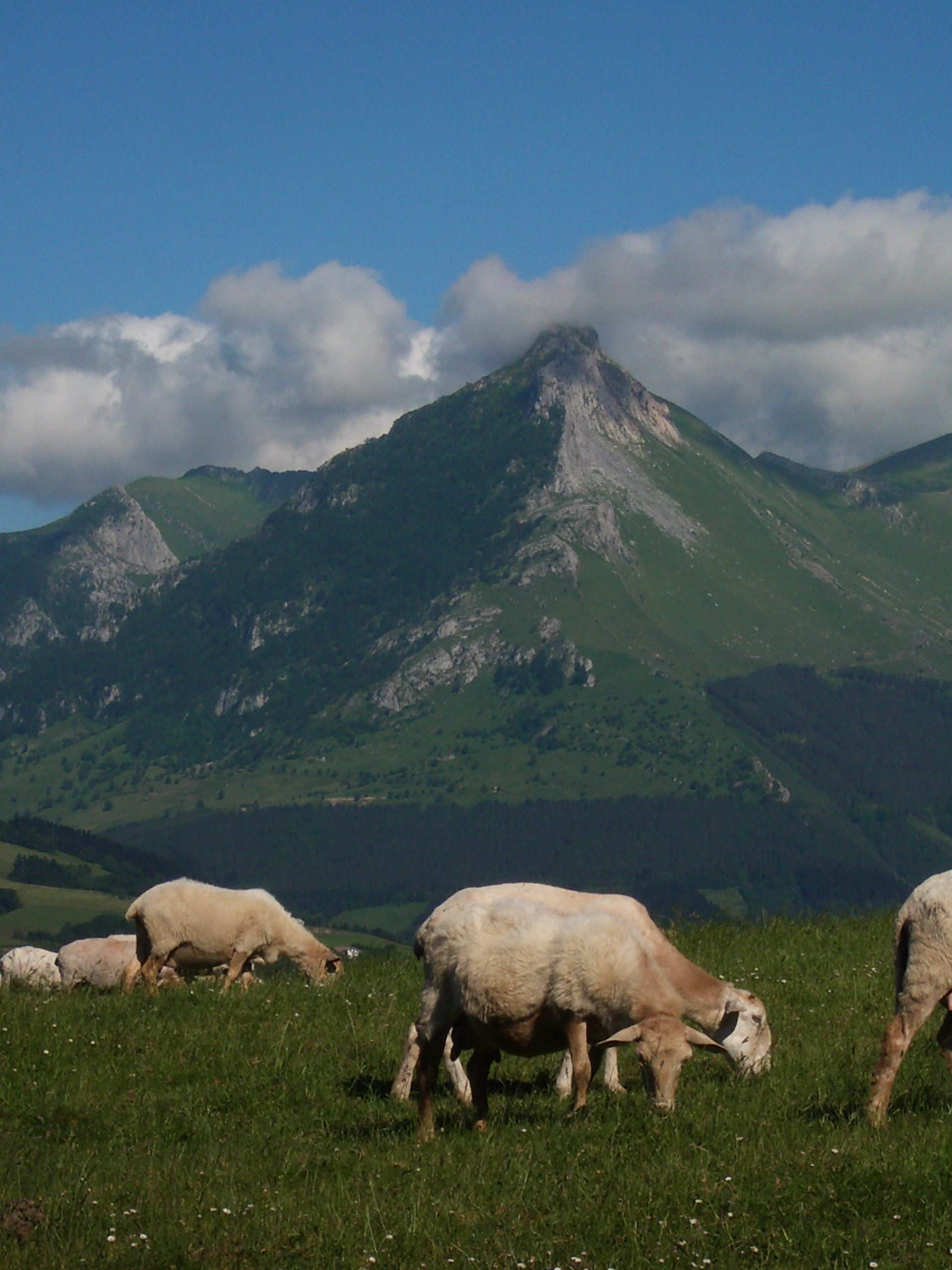 Los ganaderos de Aralar ponemos en valor la gestión de pastos efectuada con el ganado y denunciamos el nuevo Plan que quiere poner en marcha la Mancomunidad, de espaldas al sector e incumpliendo la palabra dada por EHBILDU en 2019.