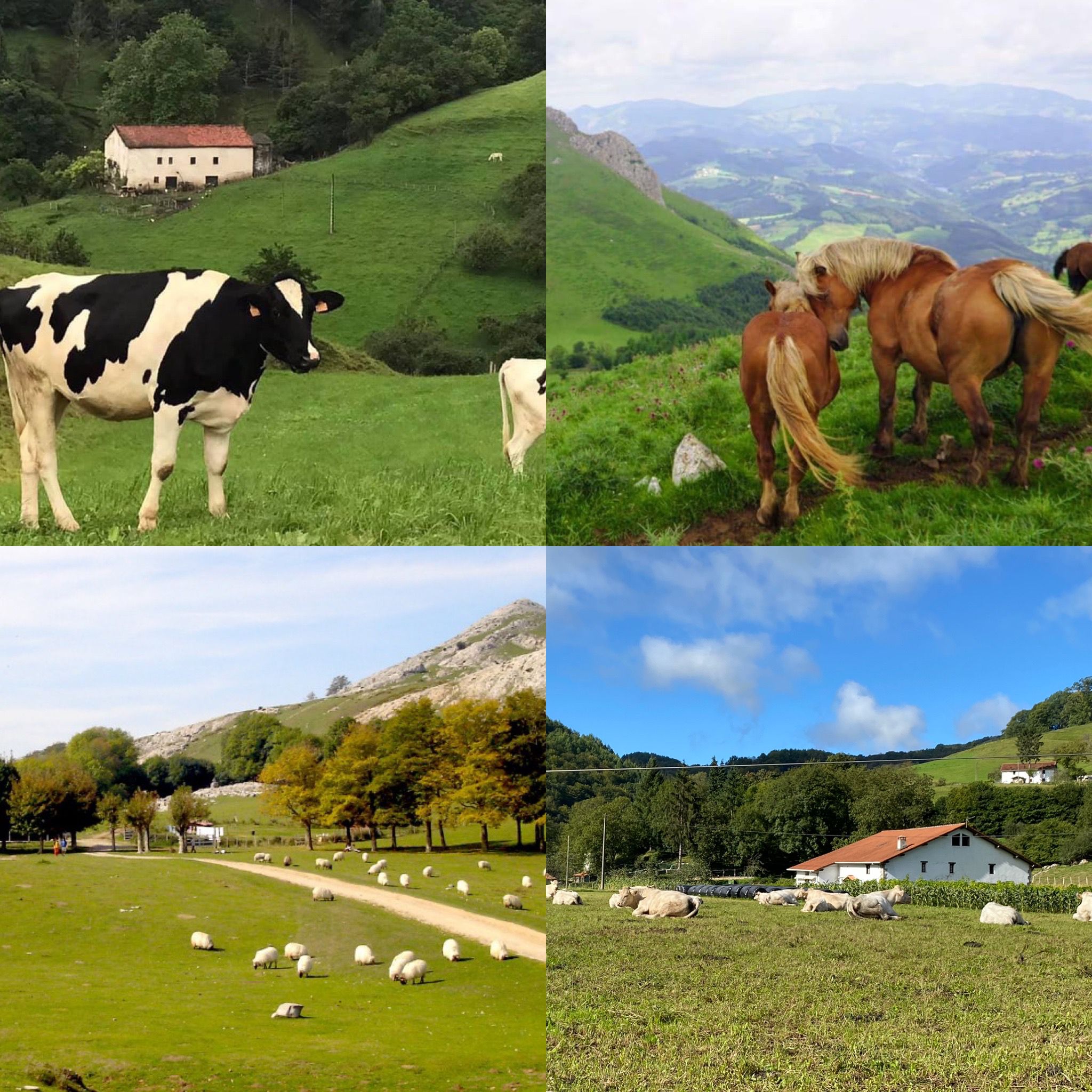 WhatsApp Image 2021 11 03 at 18.41.13