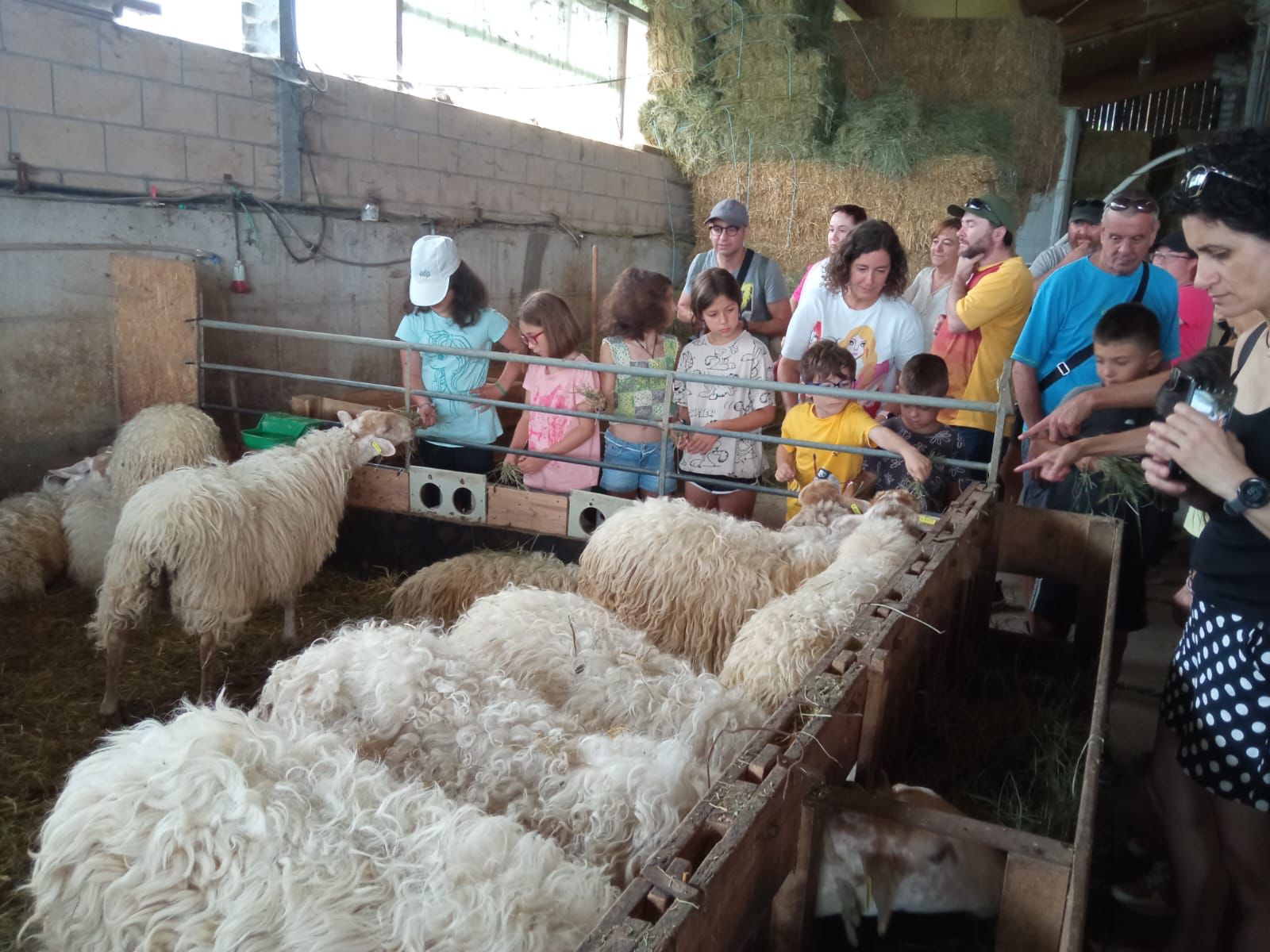 500 pertsonek hartu dute parte ONGI ETORRI BASERRIRA ekimenaren 8. edizioan