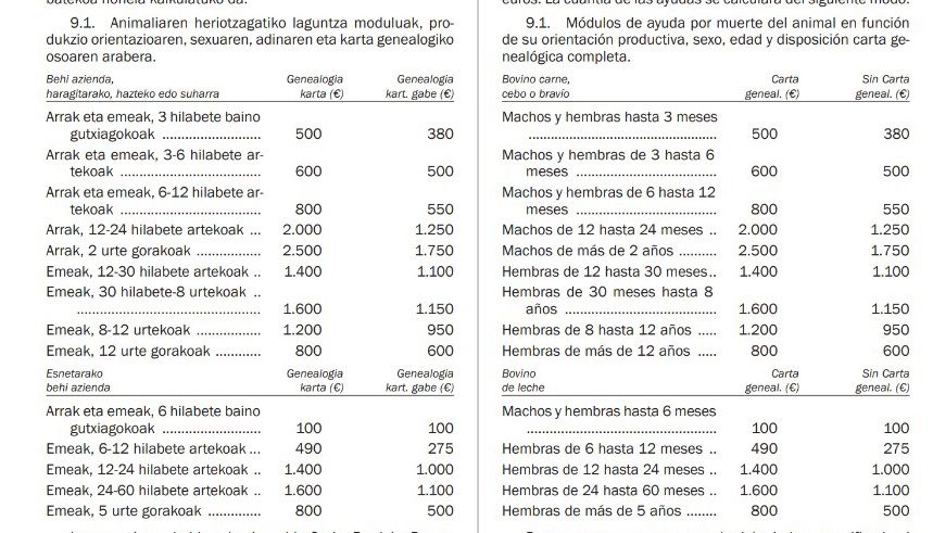 WhatsApp Image 2023 10 27 at 10.51.43