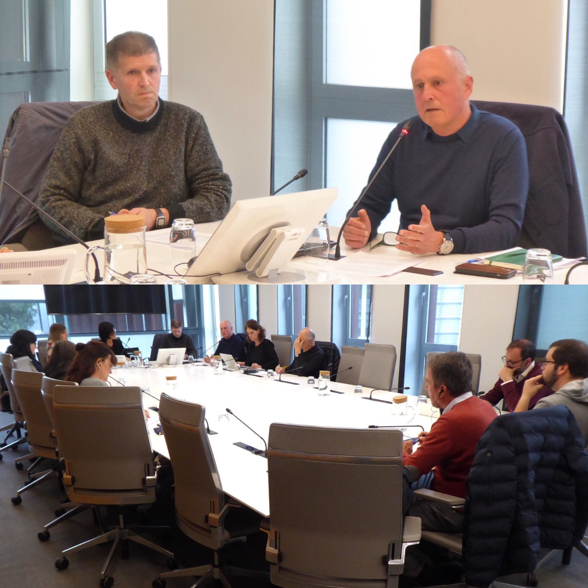 La actividad forestal en Gipuzkoa es clave en la lucha contra el cambio climático pero, en opinión de ENBA, es imprescindible garantizar su viabilidad económica