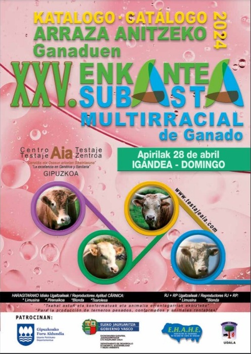 WhatsApp Image 2024 04 22 at 13.07.19