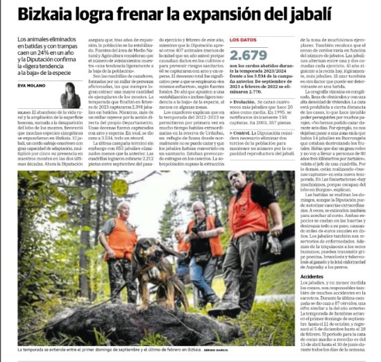 WhatsApp Image 2024 11 11 at 10.18.34