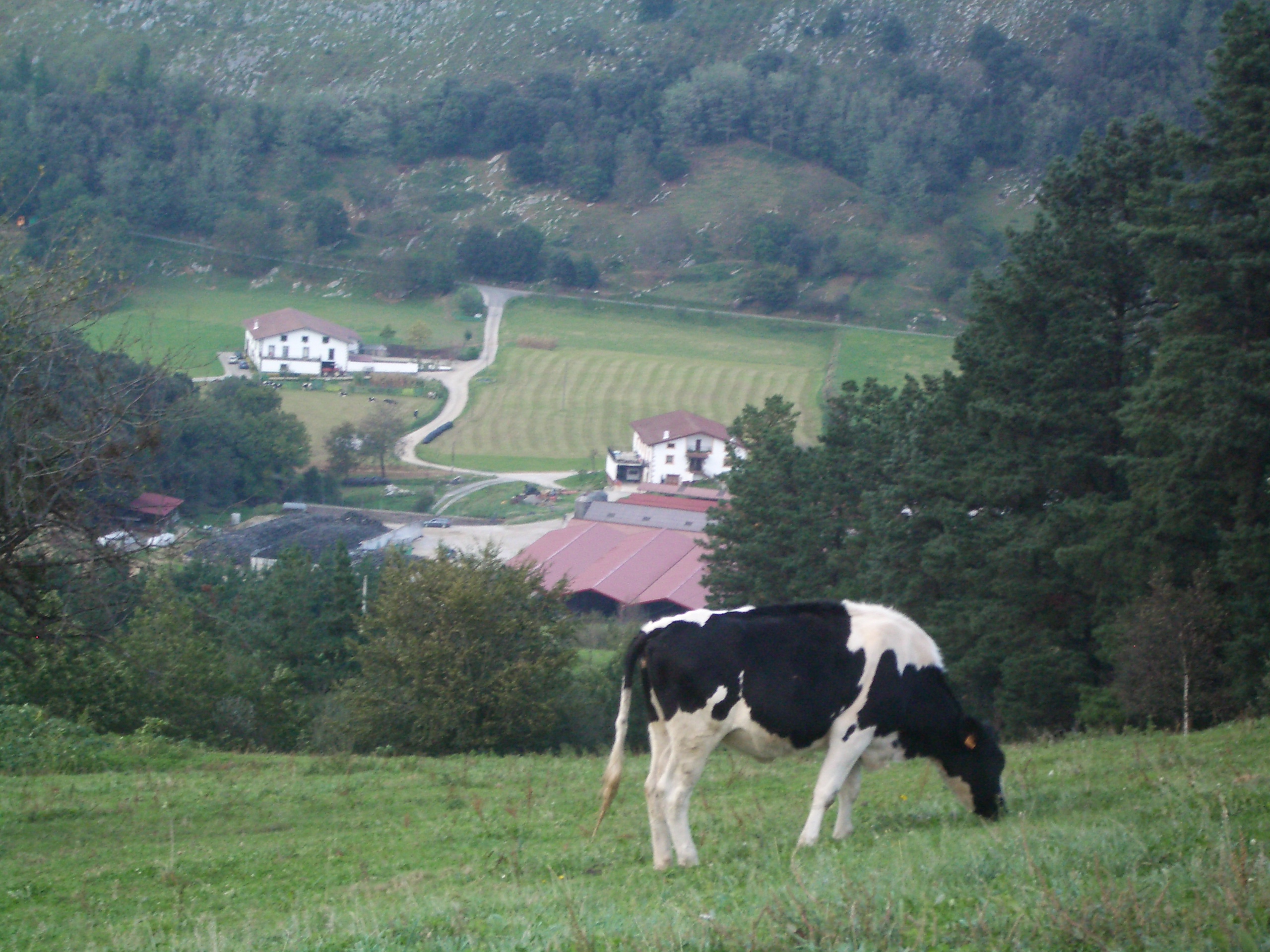 4 de diciembre, punto de encuentro del sector lácteo de Euskadi