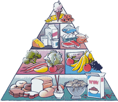 Elikagai berriak ekoiztea