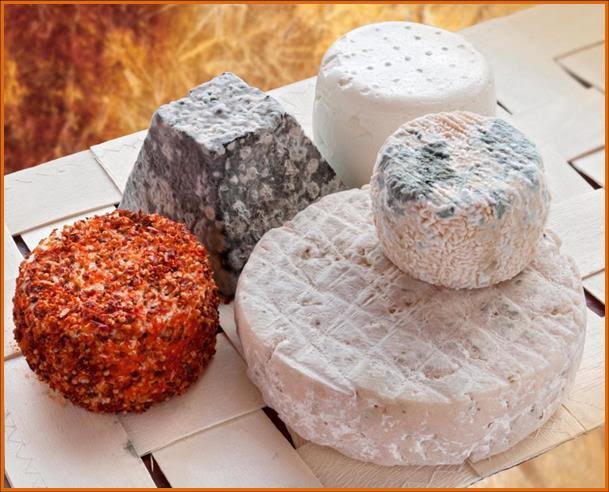 Gaztak egiteko ikastaroa