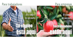 ENBA pone a disposición de los baserritarras una Bolsa de Trabajo para facilitar la contratación de trabajadores