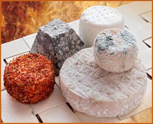 Curso de Elaboración de Quesos