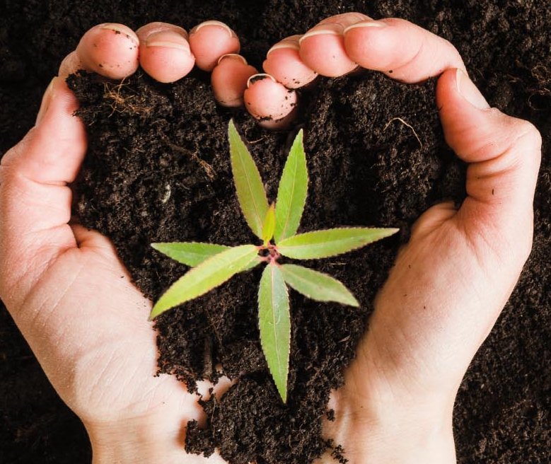 BASERRITAR GAZTEA naiz , eta HARRO nago!! jardunaldia Azaroaren 9an