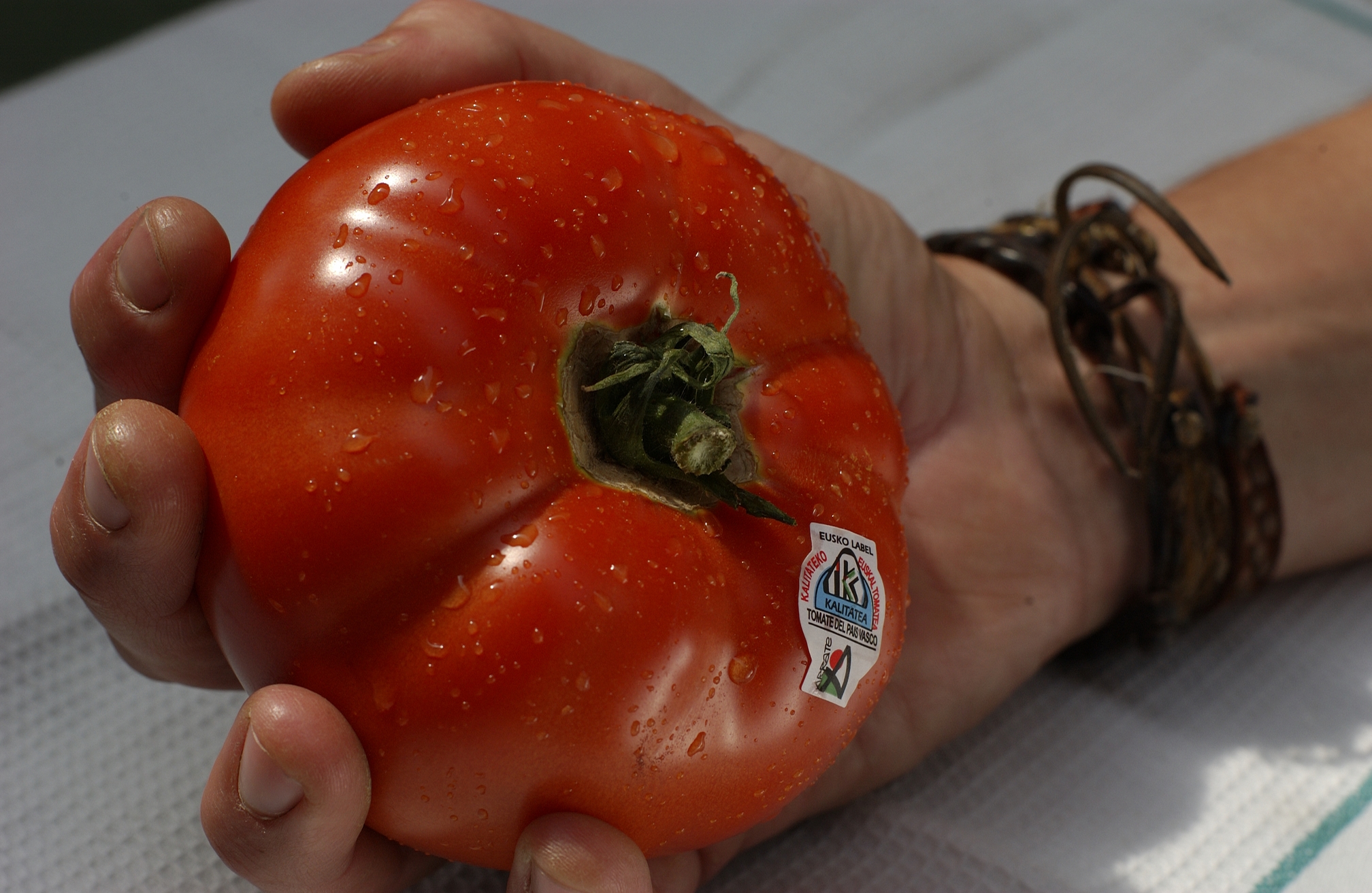 tomate bat gazte baten eskuan