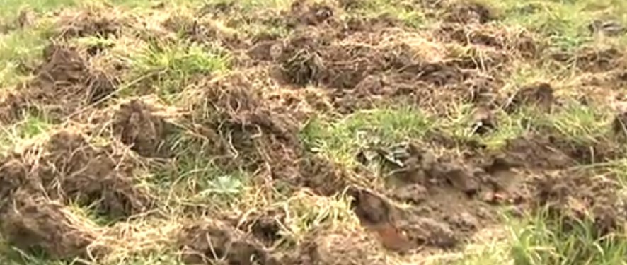 ENBA y EHNE valoran como un paso atrás el Convenio de Caza Mayor de Gipuzkoa