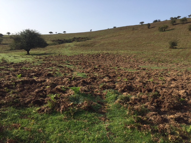 ENBA urge a un acuerdo entre Diputación y Federación de Caza o si no, una revisión de la actual Normativa