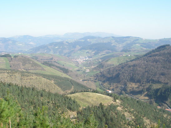 ENBA y EHNE de Gipuzkoa queremos a los Guardas Forestales al lado de los baserritarras y facilitando la actividad agroforestal