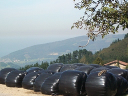 Arranca la campaña de plástico para silo de la Cooperativa ENARO