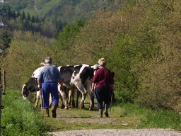En Euskadi, el peso de la mujer en la agricultura crece, paralelamente, a la edad