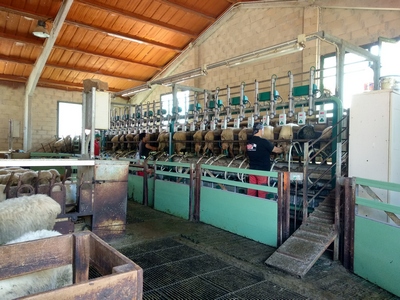 Logramos que no haya subida de cotizaciones de seguridad social para los agrarios por cuenta propia