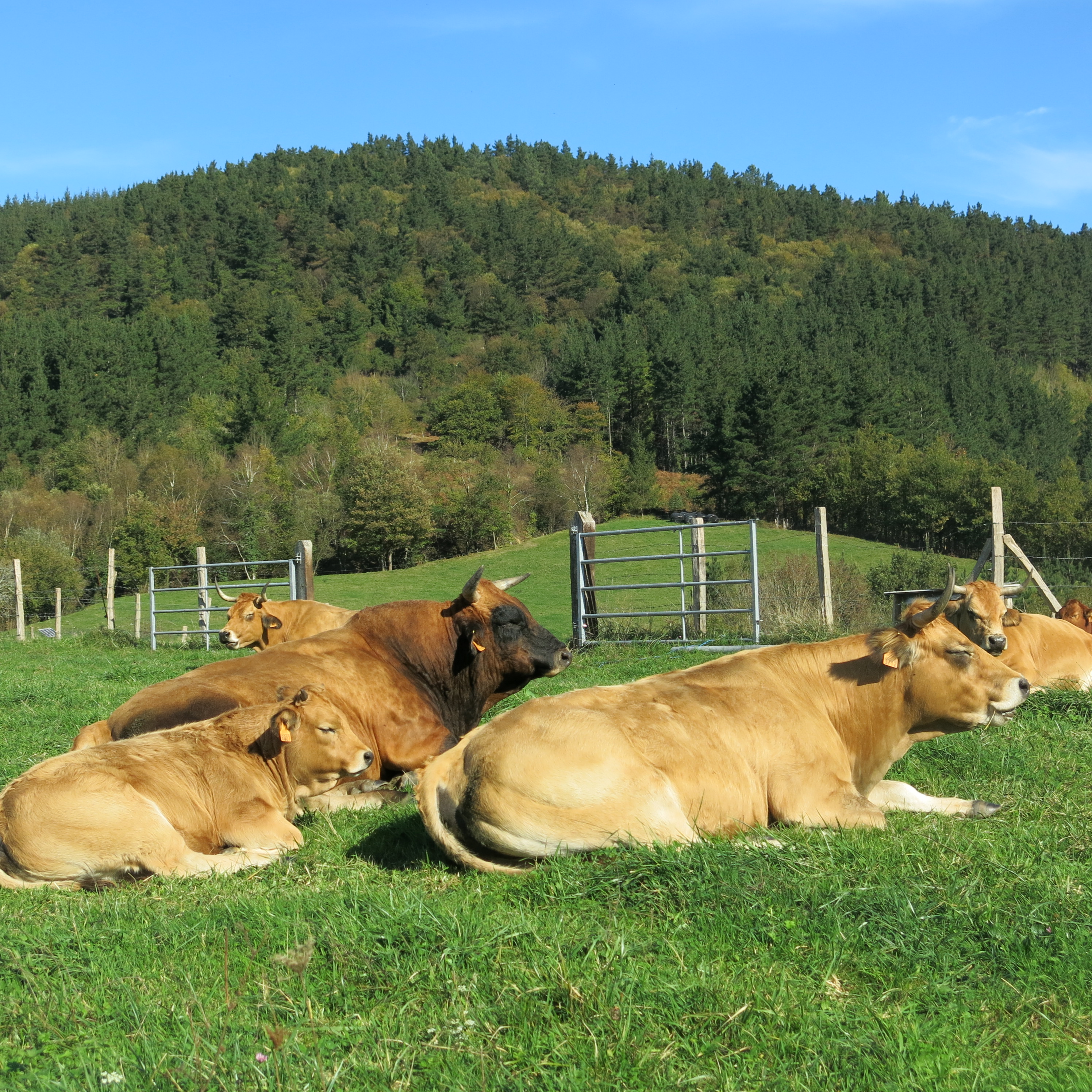 Ante el Informe IPCC, La agricultura es parte de la solución al Cambio Climático