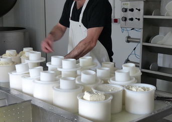 ENBA aclara algunas dudas sobre el etiquetado del origen de la leche y productos lácteos