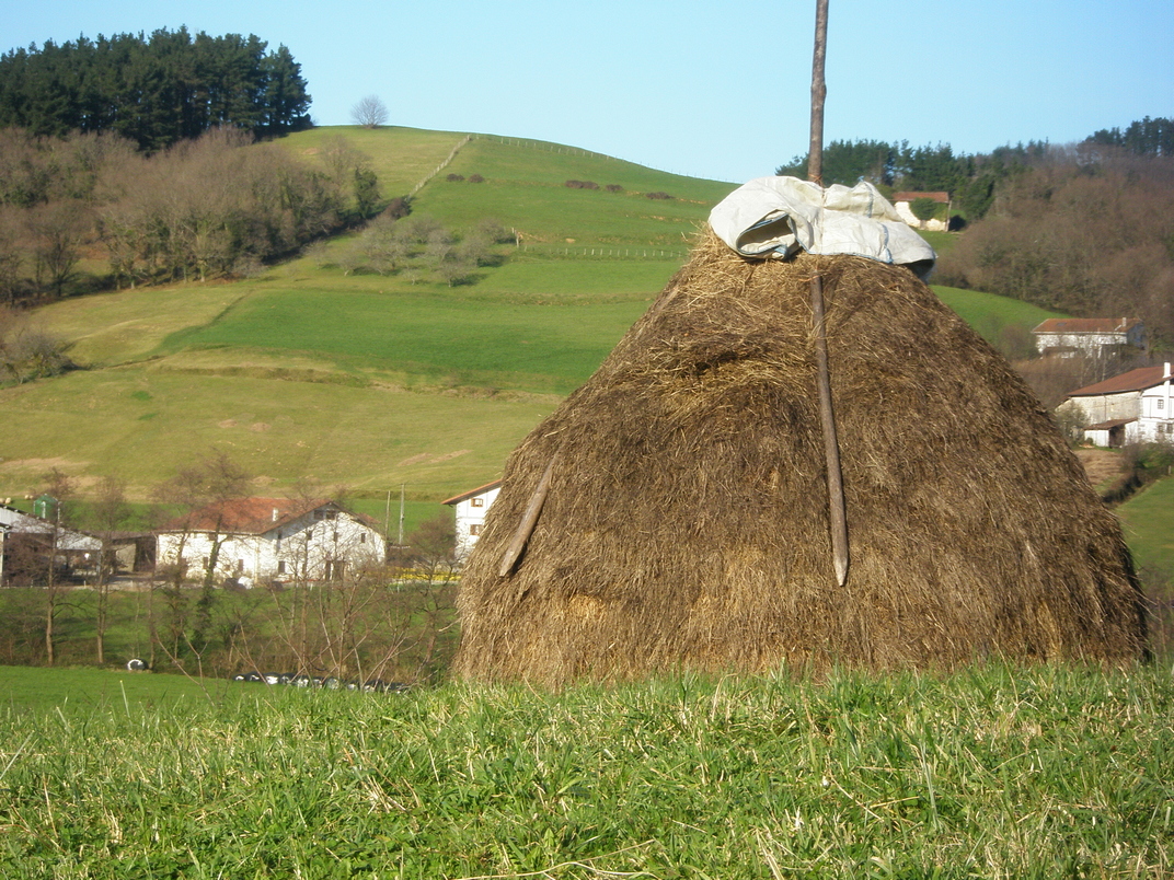1 de Abril, Jornada sobre el Futuro del Mundo Rural de Euskadi