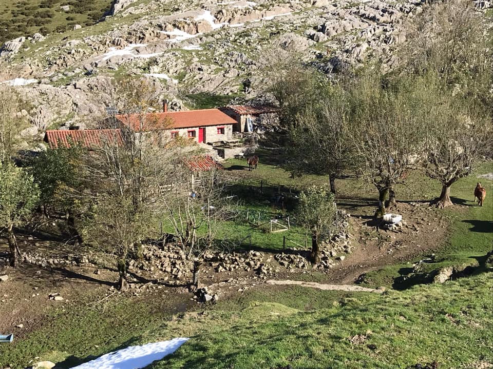 Tras el archivo definitivo de la denuncia contra la primera pista de Aralar, según ENBA, es hora de abandonar la vía judicial y colocar a ganaderos y su cabaña ganadera en el centro de la política de conservación.
